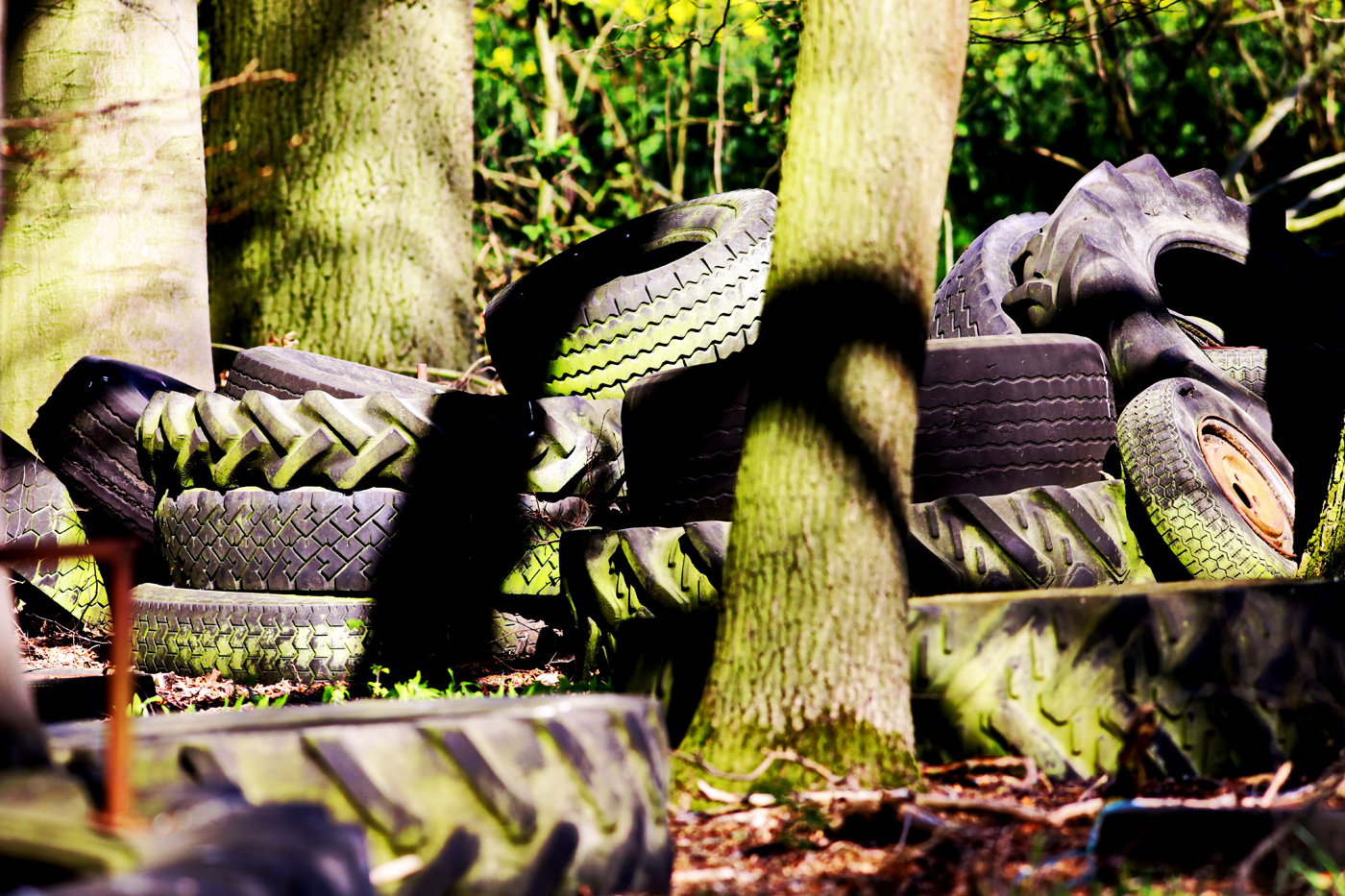 Foto: "Umweltverschmutzung" von Uschi Dreiucker / pixelio.de