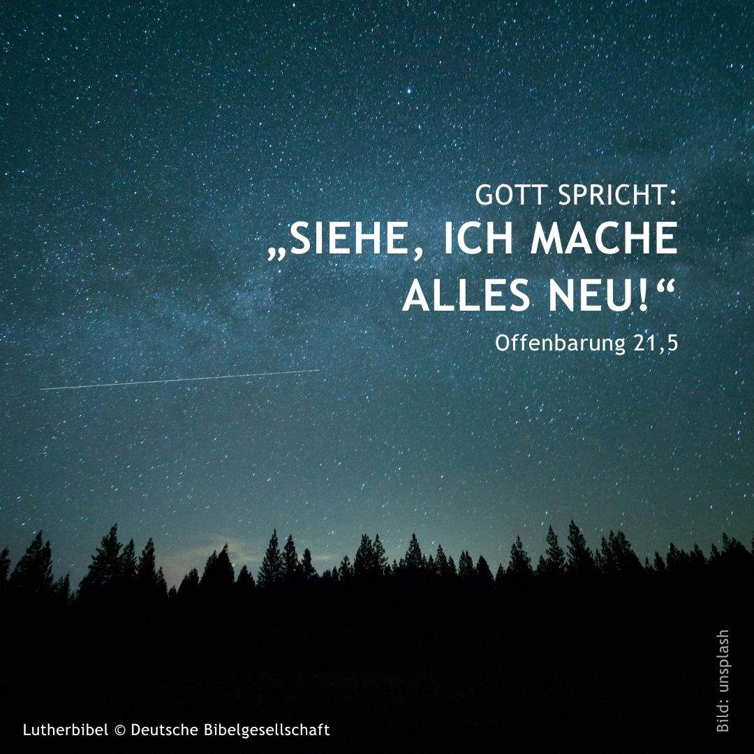 Kirchenpr&auml;sidenstin Christiane Tietz - Foto: Peter Bongard